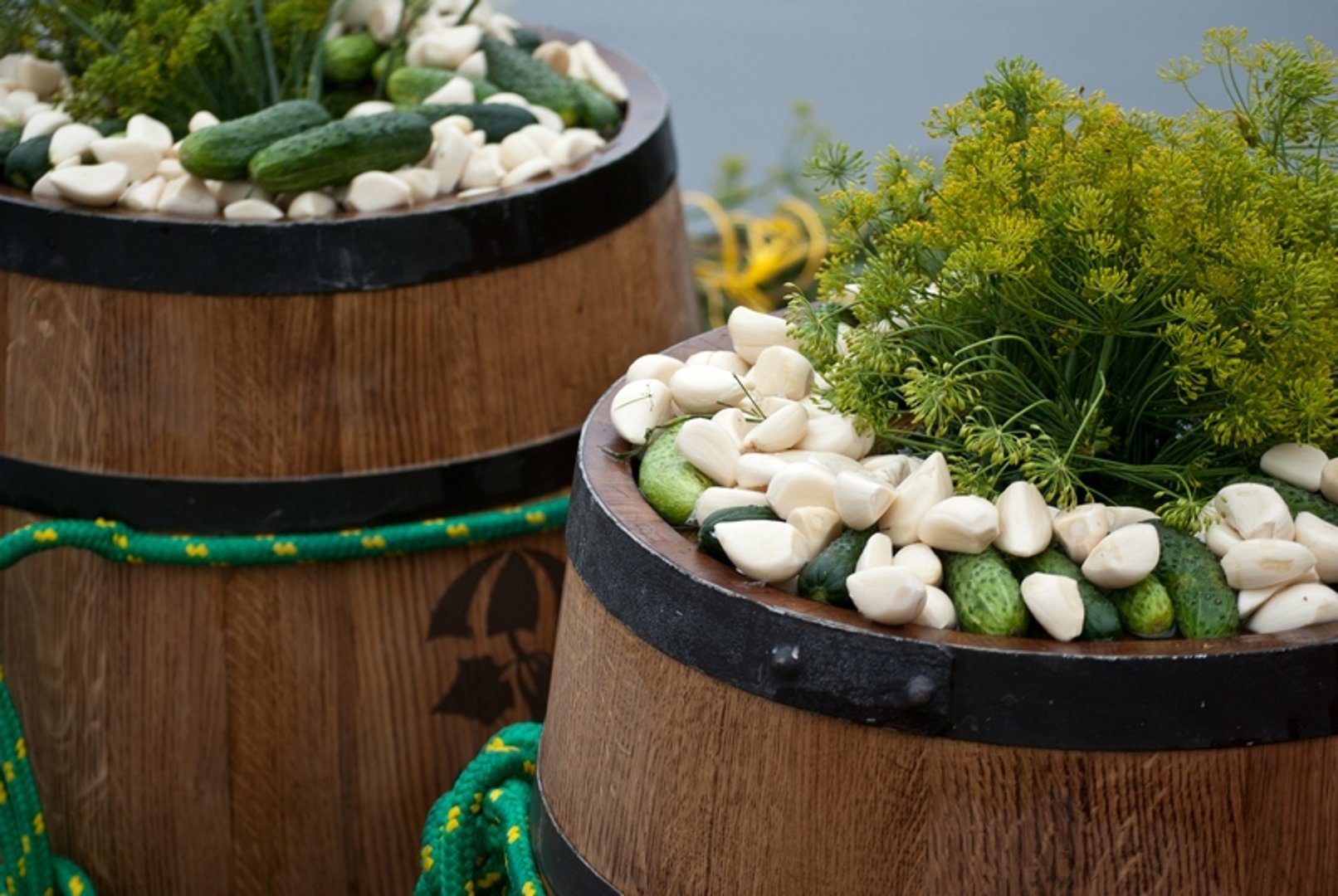 FHU ELPAL - image 10