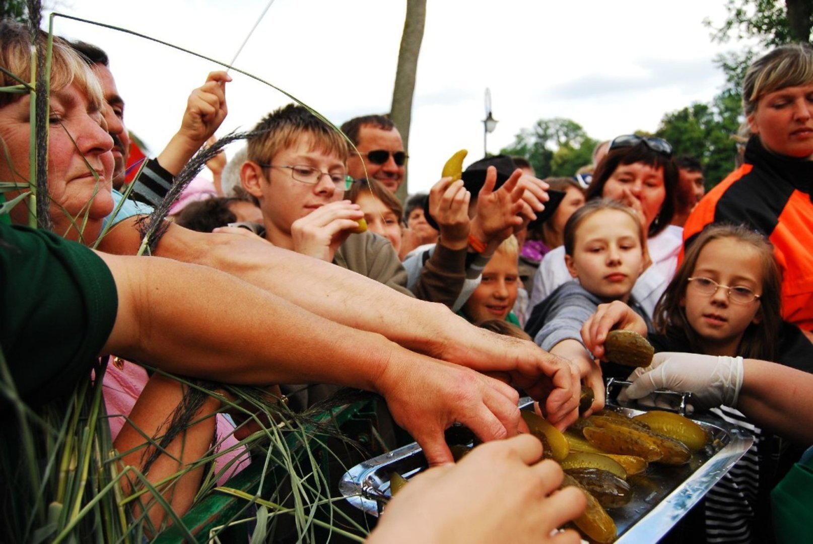 FHU ELPAL - image 15